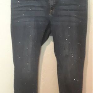Lane Bryant Skinny Jean's with Rhinestone embellishmemts